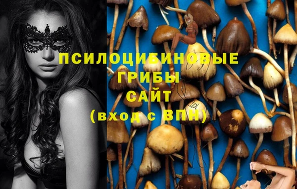 соль курить ск Бородино