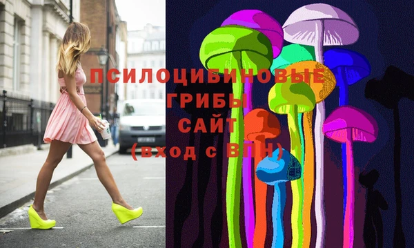 герыч Бронницы