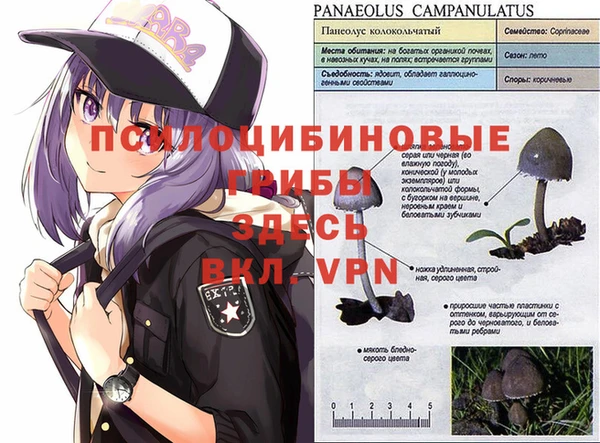 герыч Бронницы