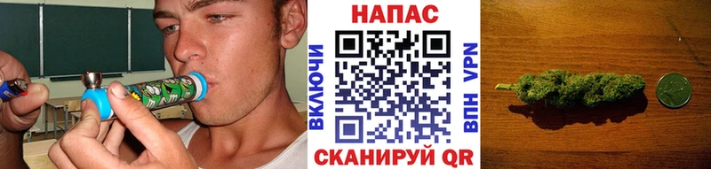 кракен зеркало  Балашиха  Марихуана индика 